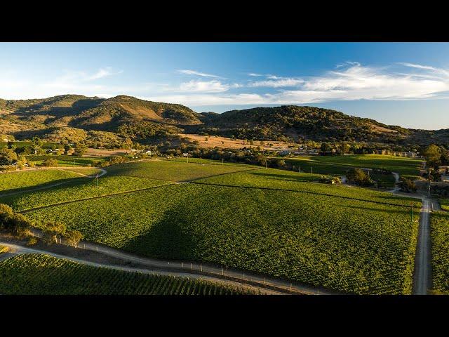 Nathan Coombs Estate | Paul Hobbs Winery