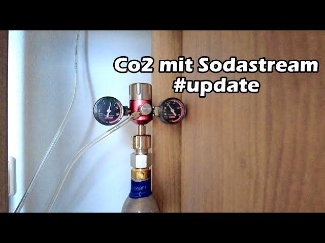 Acht Wochen Co2 mit Sodastream [Update] & Tomatengewächshaus-Crash #vlog