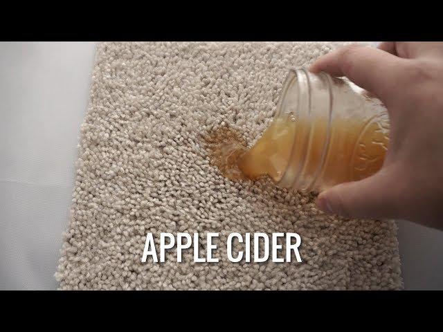 How to Remove Apple Cider Stain | Stain Fu Halloween