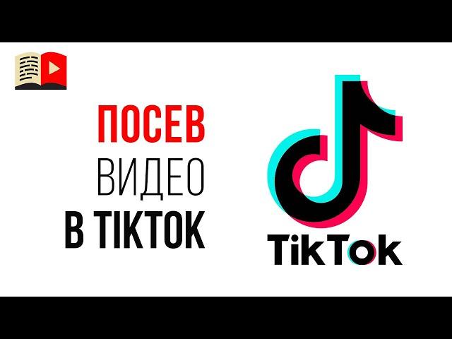 Можно ли заливать одинаковое видео на YouTube и в TikTok?
