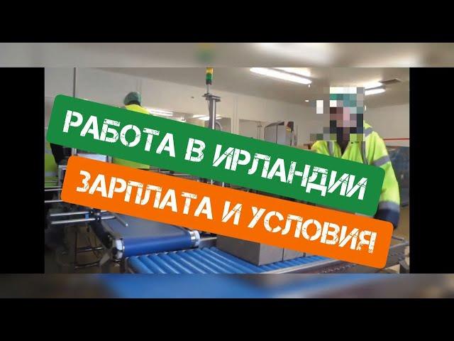 Работа в Ирландии для Укранцев ‍Какая у нас зарплата??!