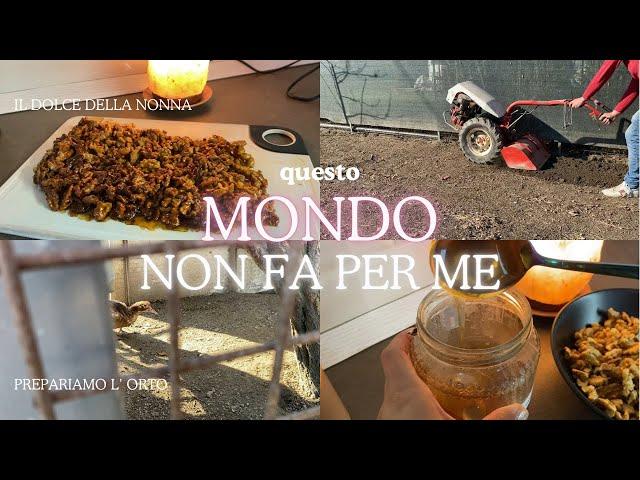 TROPPA MODERNITÁ  DOLCE CONSOLATORIO DELLA NONNA  Relaxing vlog