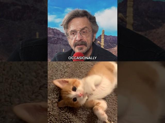 Marc Maron CAT Updates!