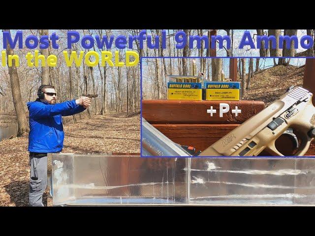 MOST POWERFUL 9mm Ammo in the WORLD Tested! Buffalo Bore 115 gr 9mm +P+ VS .38 Special+P