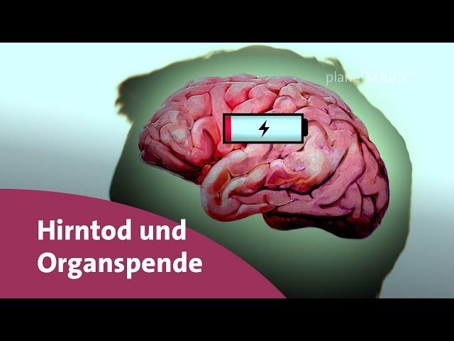 Was ist der Hirntod? - Frage trifft Antwort | planet schule