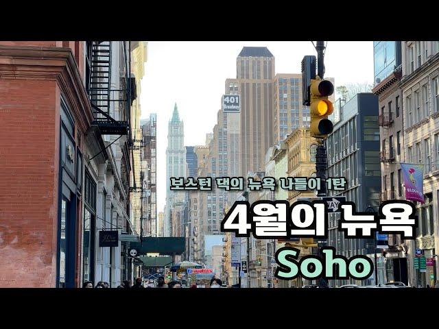 [New York VLOG] 보스턴댁의 뉴욕 출동 소호 거닐기 La Colombe️ Eileen’s cheesecake