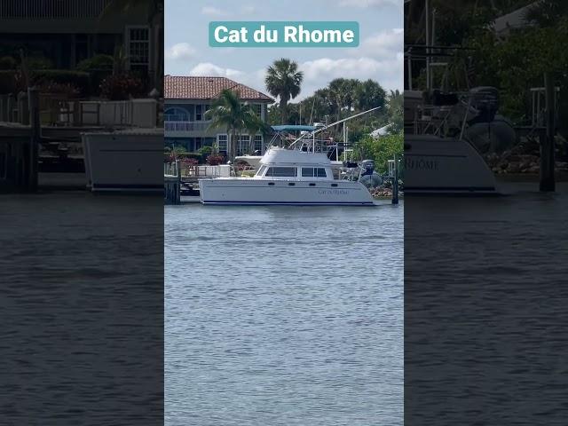 Beautiful Boat on the Florida Coast #shorts #boat #Floridacoast