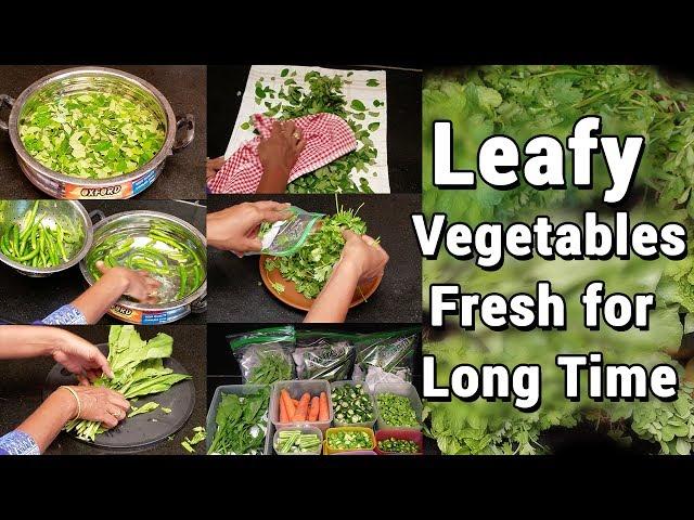How to store vegetables in fridge | Chillies | Curry Leaves  | Coriander Leaves | kitchen tips