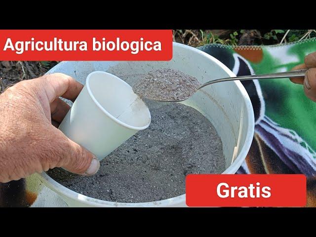 Cenușa, îngrășământ bio natural gratis