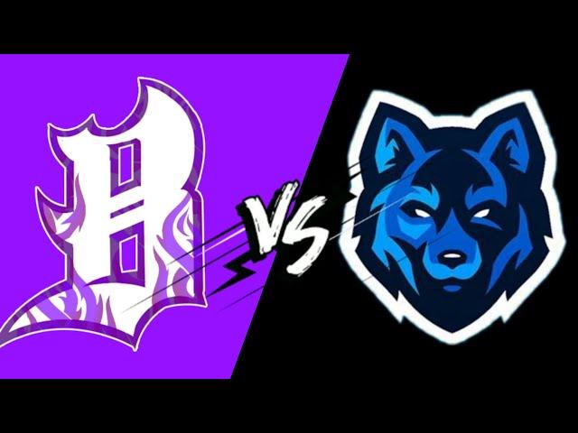 BALLAS VS WOLVES | VLT RP | BALLA GANG CLIPS