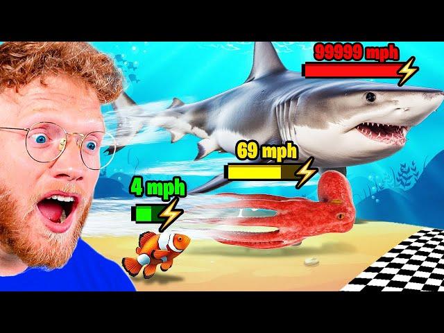 BECKBROS React To FASTEST FISH SPEED COMPARISON