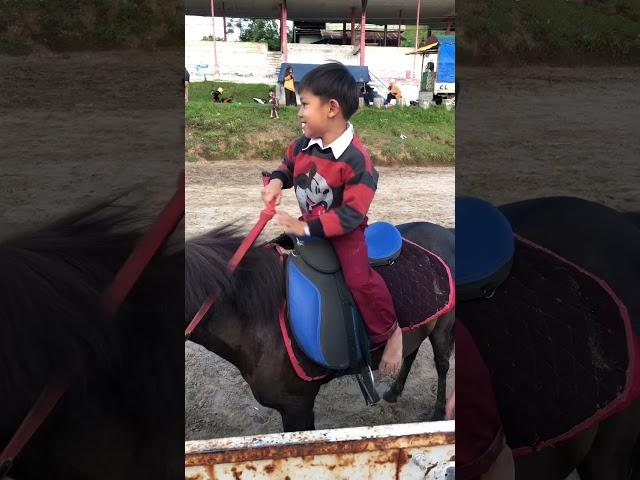 BOCIL || ANAK KELAS 1 SD NAIK KUDA  #shorts #horse #viral #bocil #baby