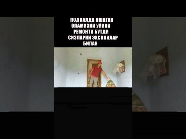 15 июля 2023 г.