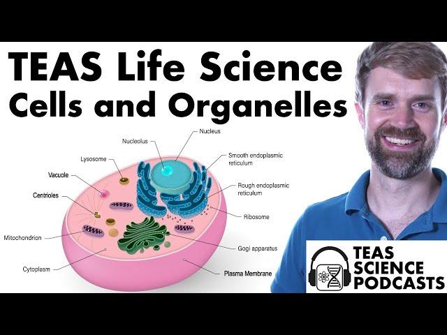 TEAS Life Science: Cells and Organelles Podcast