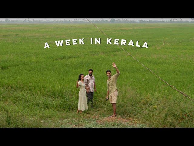 A week in Kerala: family, food & exploration 