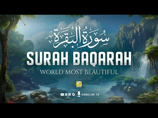 Surah Al Baqarah Full سورة البقره | Relaxing Calming & Heart Touching Quran | Zikrullah TV