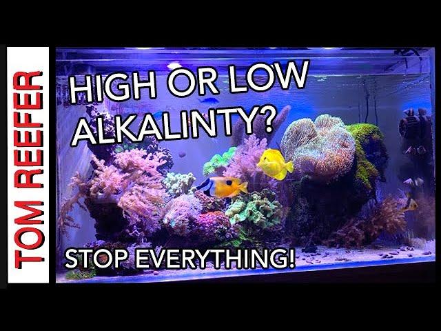 Reef Tank ( HIGH OR LOW ALKALINITY? ) Stop Everything.