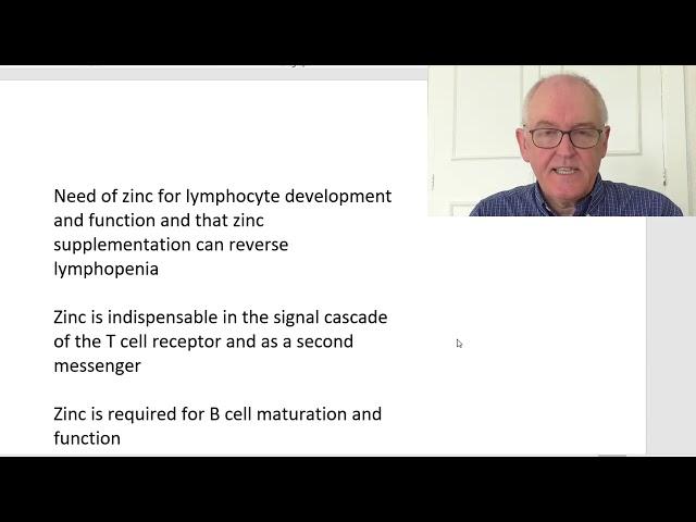 Zinc nutrition as we enter endemic phase