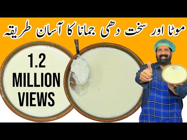 Dahi Jamane Ka Sahi Tarika | میٹھا سخت موٹی بلائی والا دھی جمانے کا طریقہ | BaBa Food RRC