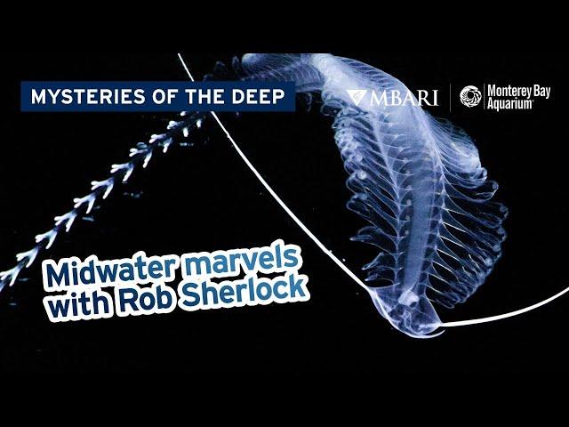 Mysteries of the Deep with MBARI's Rob Sherlock — Midwater Marvels of Monterey Bay