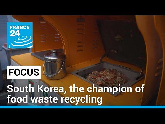 How South Korea became the champion of food waste recycling • FRANCE 24 English