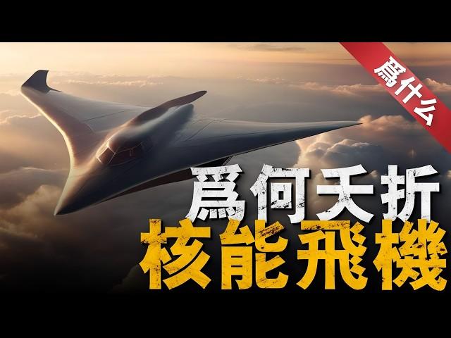 揭秘美蘇兩國核動力飛機計劃，從NB-36H轟炸機，到Tu-95LAL和Tu-119,這類核動力飛機為何夭折？F-35戰機載油量8噸，省出載荷搭載飛彈不好嗎？【那是為什麼】 #美國空軍 #f35