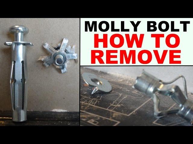 how to remove hollow wall anchors properly (drywall anchors, molly bolts)
