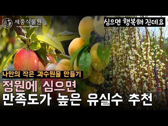 정원에 심으면 좋은 유실수 추천! 정원속 작은 과수원 #정원 #가드닝 #유실수 #식물키우기 #정원가꾸기 #묘목