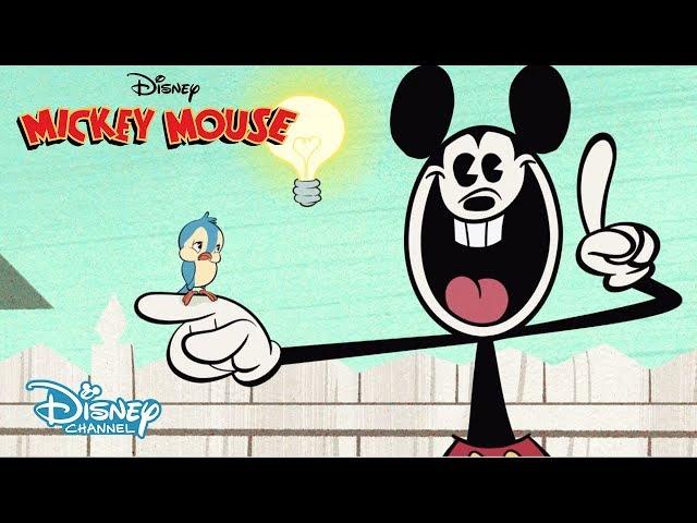 Alimenta a las Aves | Mickey Mouse