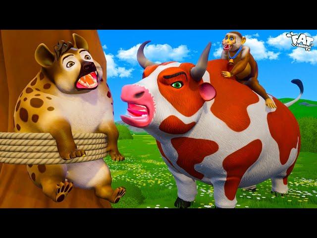 Bull & Monkey Takes on Cunning Hyena: Epic Funny Chubby Animals Comedy Cartoons!