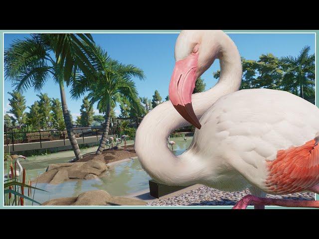 Greater Flamingo Habitat! | River Rock Zoo Remodel | Planet Zoo Slow Build [No Commentary]