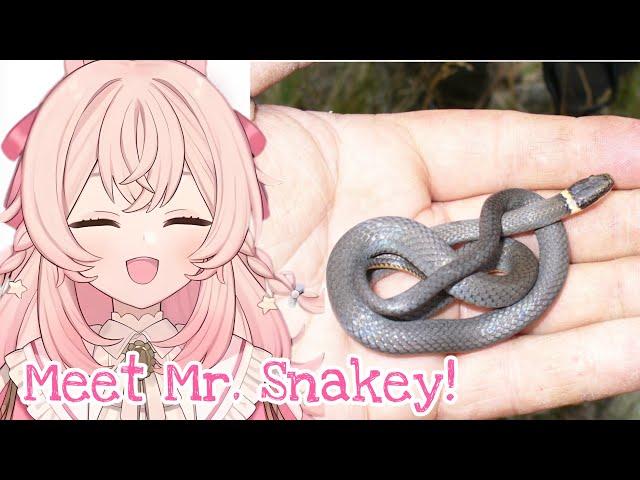 Pippa has this little tiny serpent under her care [Phase-Connect]