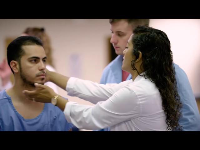 Your Pursuit: Northeast College of Health Sciences