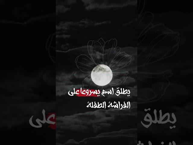 كراكيب انت تعرف !!معلومات عامه