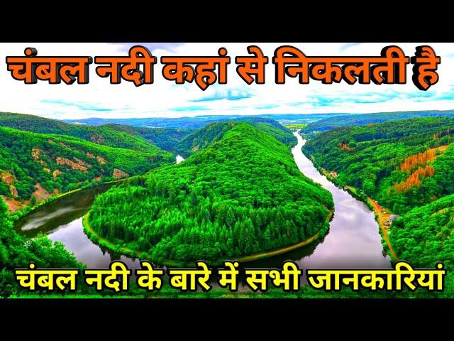 चंबल नदी के बारे में सभी जानकारी || chambal nadi kahan se nikalti hai || chambal nadi ka udgam