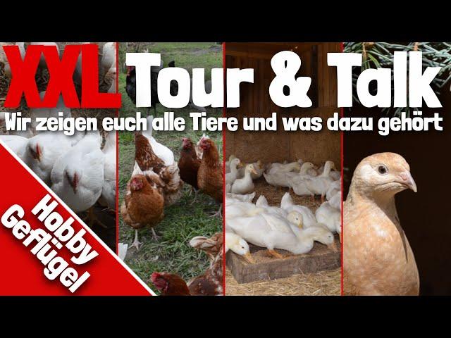 XXL Tour & Talk mit Hobby Geflügel | Enten | Gänse | Hühner | Wachteln | Masthähnchen