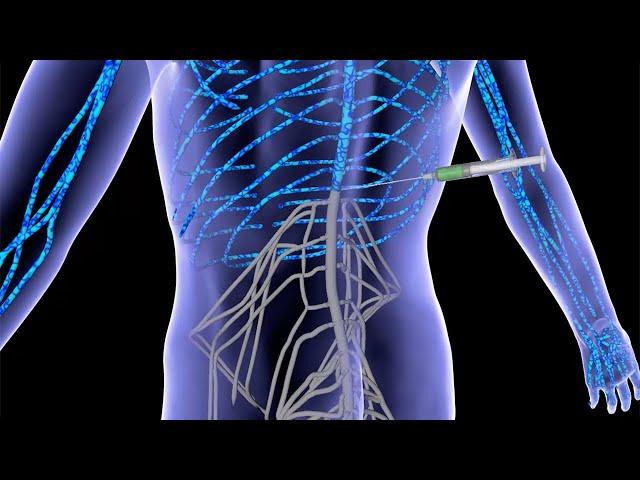 Severe spinal cord injuries repaired with 'dancing molecules'