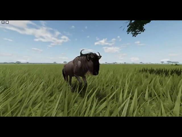 Wildebeest Animation Comparison! | Wild Savannah: Recode Update News