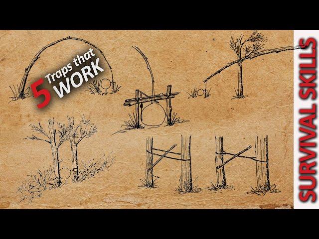 5 Survival Traps and Snares that WORK! - Primitive Traps