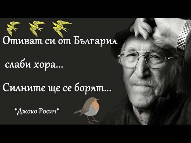 Урок по "патриотизъм" - КОНТРА - Живот в чужбина
