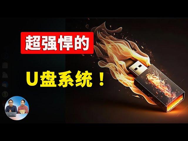 超级强悍U盘系统！ 速度极快又高度隐匿、防监视防追踪，完全免费开源，Tail Linux 5分钟搞定安装 | 零度解说