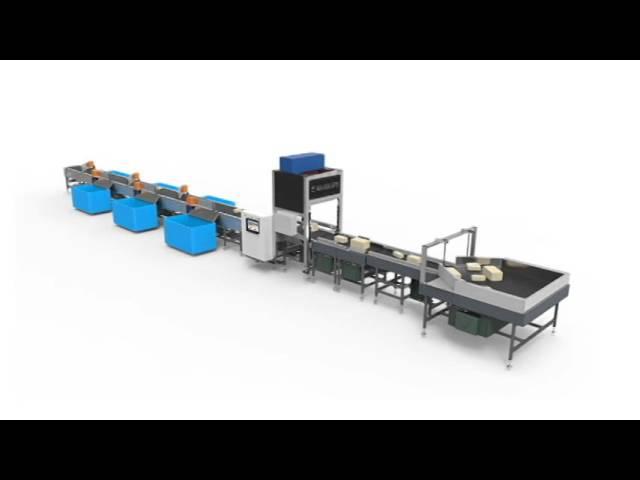 Linear Arm Sorter for E-commerce Parcels and Logistics by Falcon Autotech