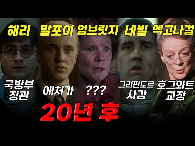 해리 포터 20년 후, 그들은 무엇을 하고 있을까?