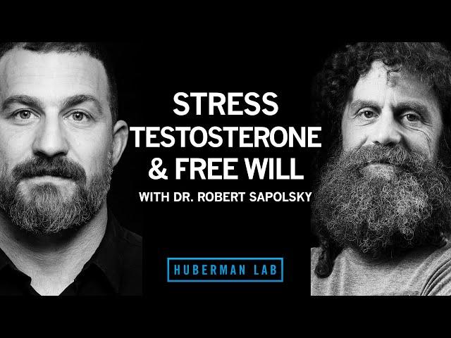 Dr. Robert Sapolsky: Science of Stress, Testosterone & Free Will