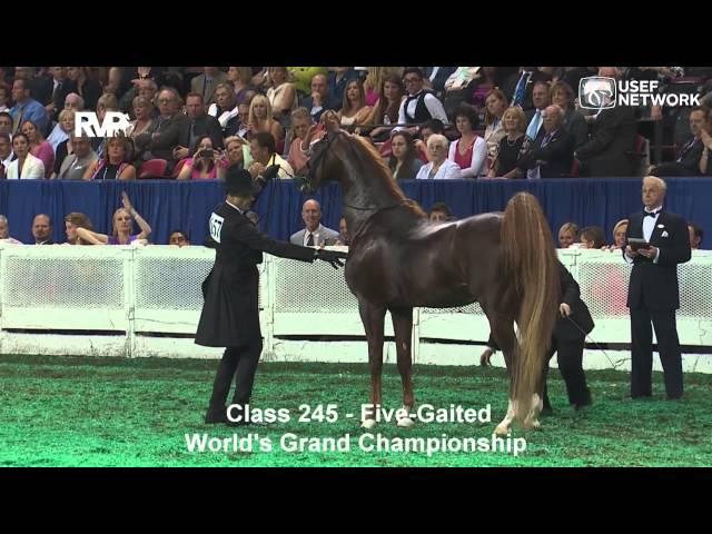 CH Callaway's Annabel Allison Wins the 5-Gaited Grand Championship at #WCHS