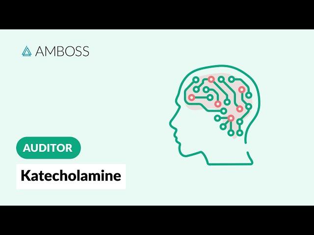 Auditor: Neurotransmitter 1 - Kateocholamine | AMBOSS