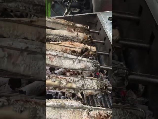 Best Yummy  Yummy Grilled Fish