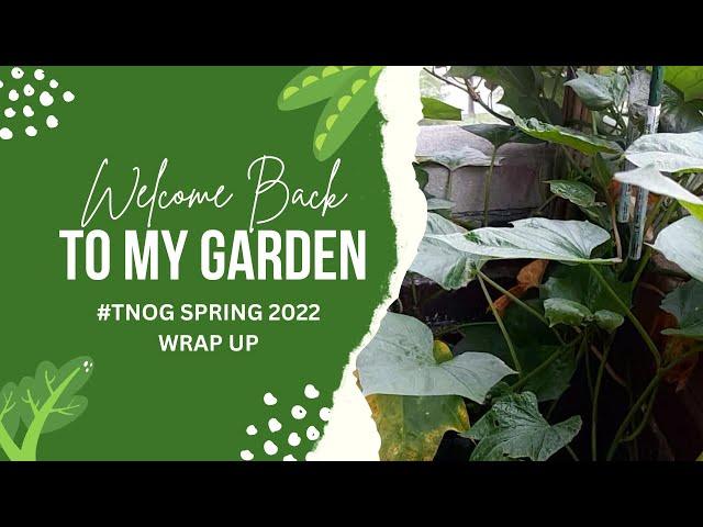 Welcome Back To My Garden #Tnog2022SpringGardeningWrapup #TLCInTheGarden