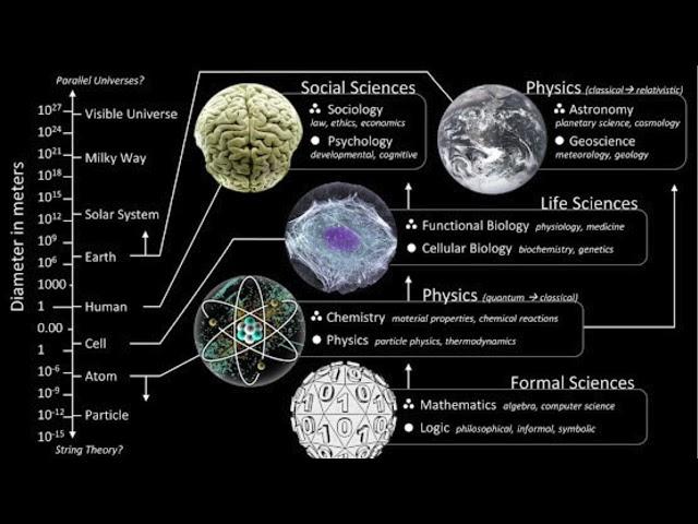 Modern Scientific Realism -- The Hierarchy of the Sciences