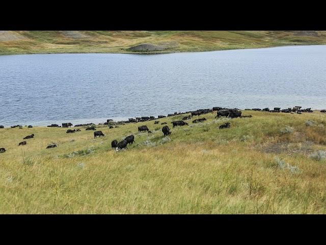 Intertribal Agriculture Council Live Stream